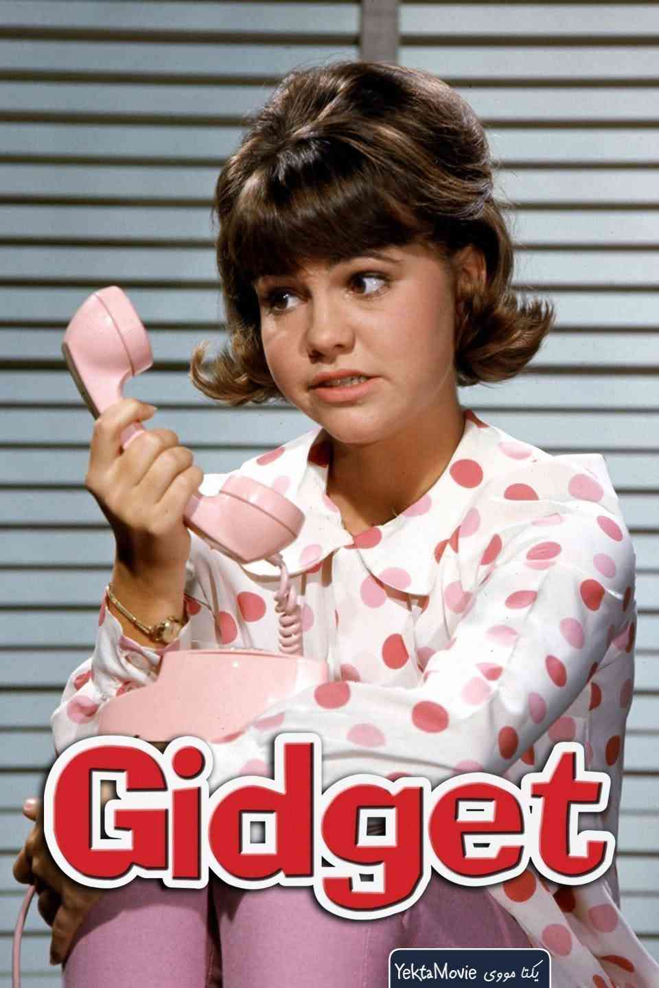 سریال Gidget 1965 ( گیجت ۱۹۶۵ )